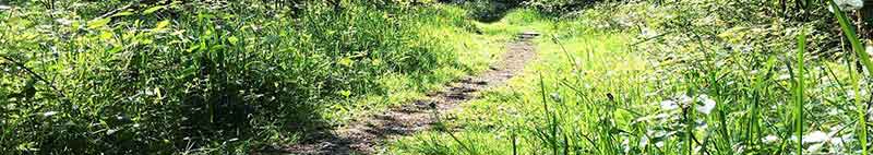 Persönlichkeitswachstum, Newsletter