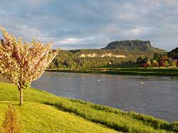 Frühling in Dresden