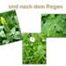 Frühlingsgarten